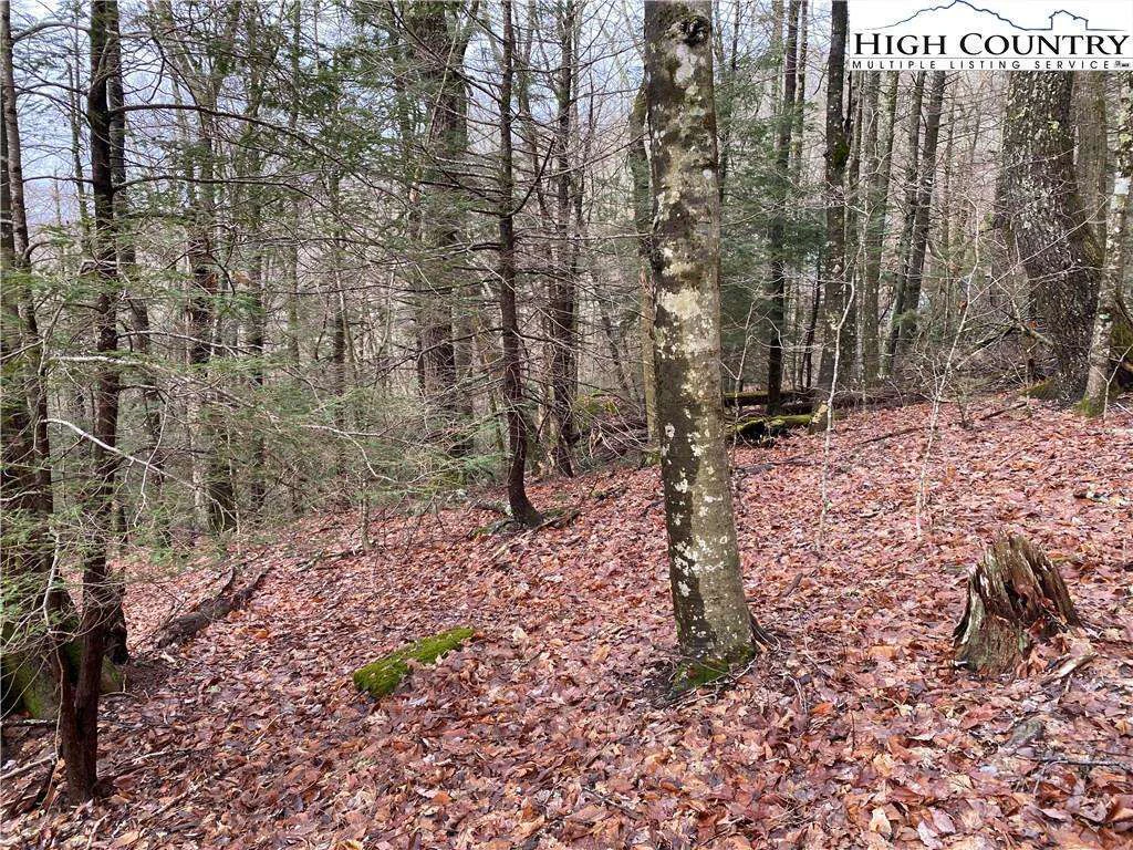 Image number 21 for the current listing
