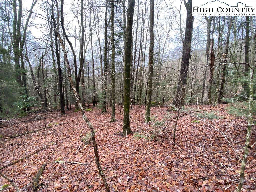 Image number 10 for the current listing