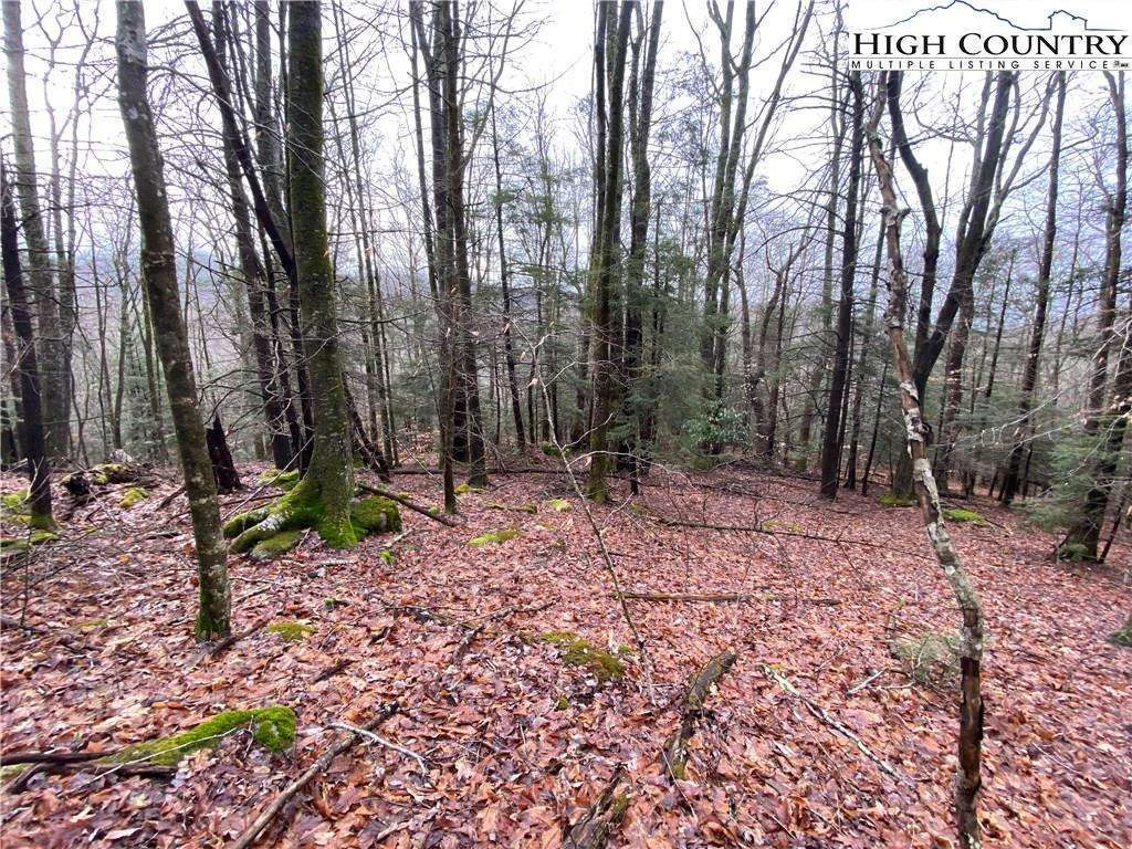 Image number 3 for the current listing