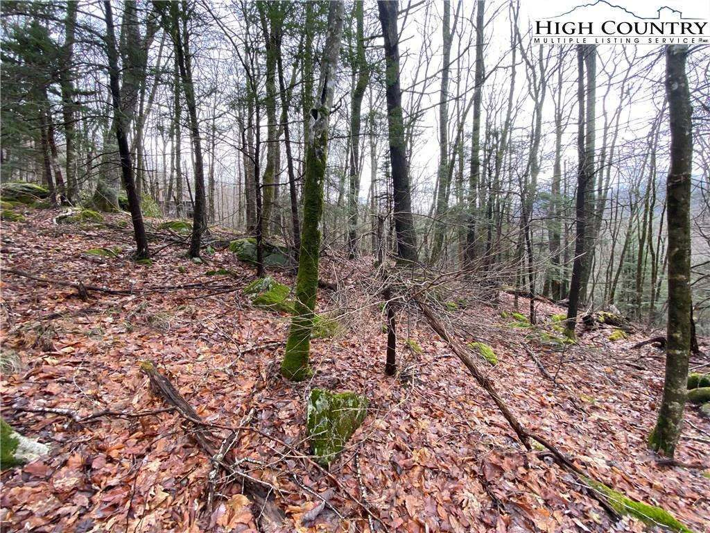 Image number 4 for the current listing