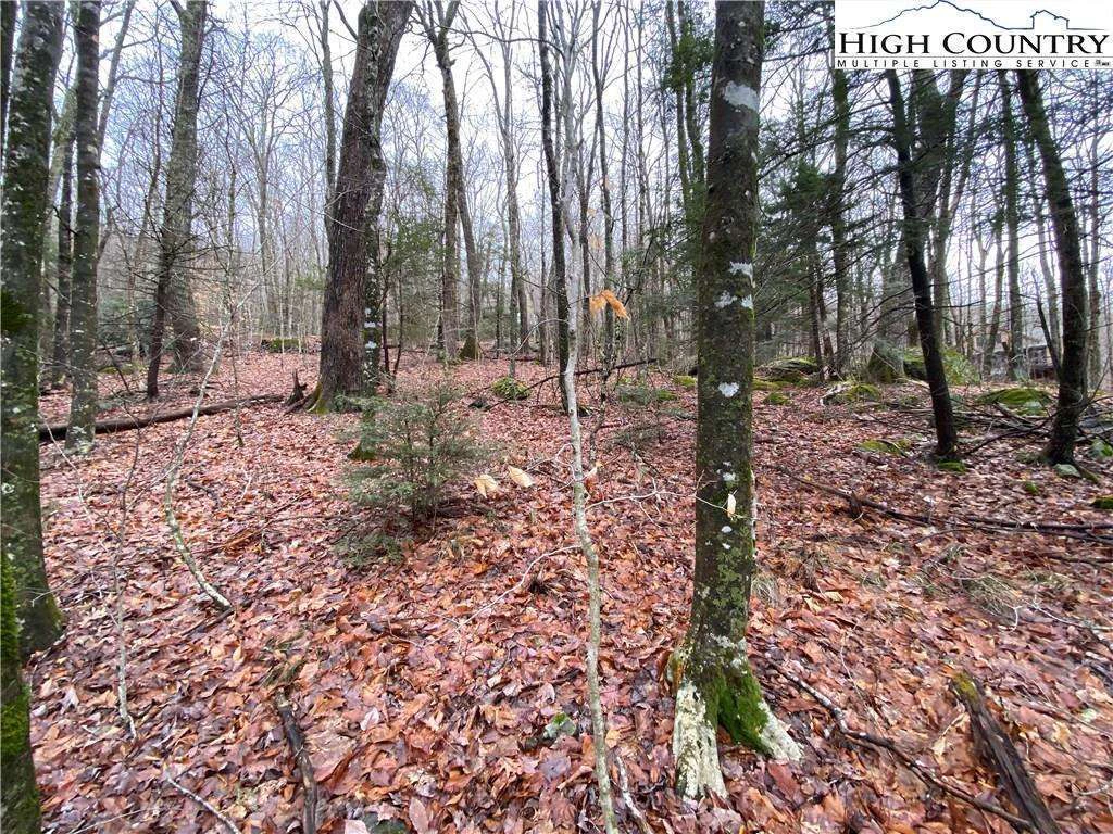 Image number 5 for the current listing