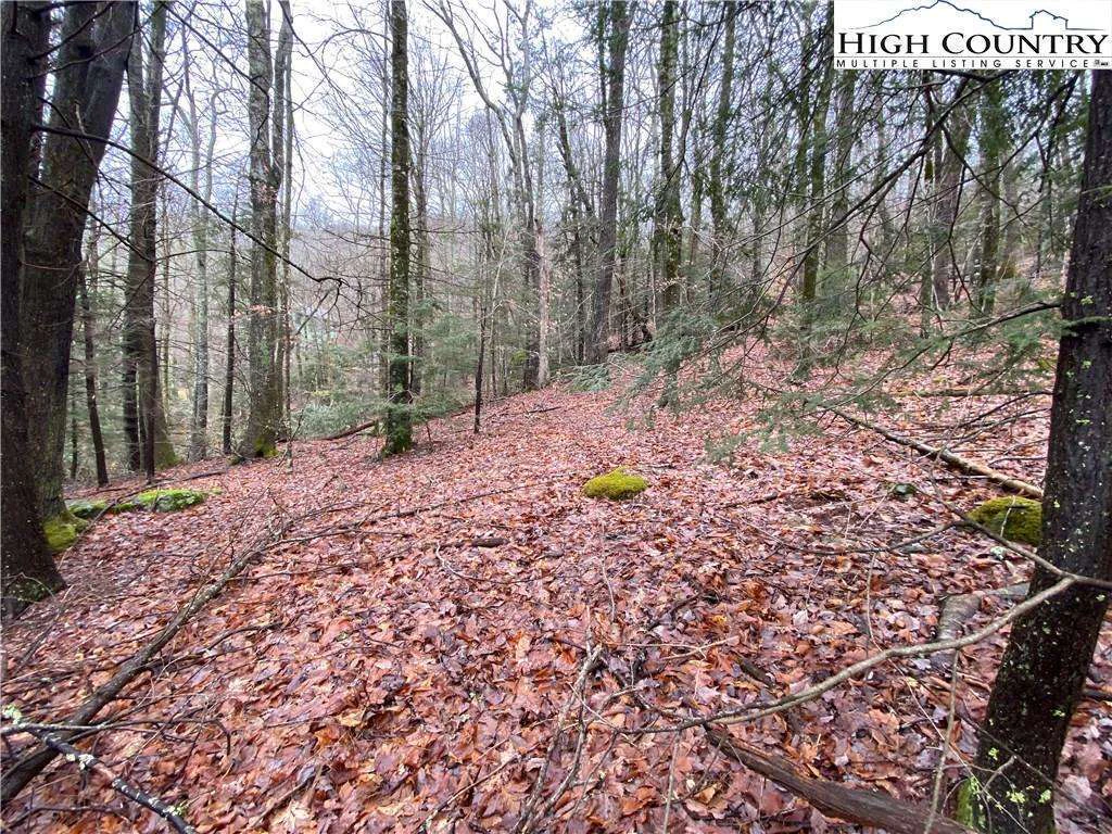 Image number 7 for the current listing