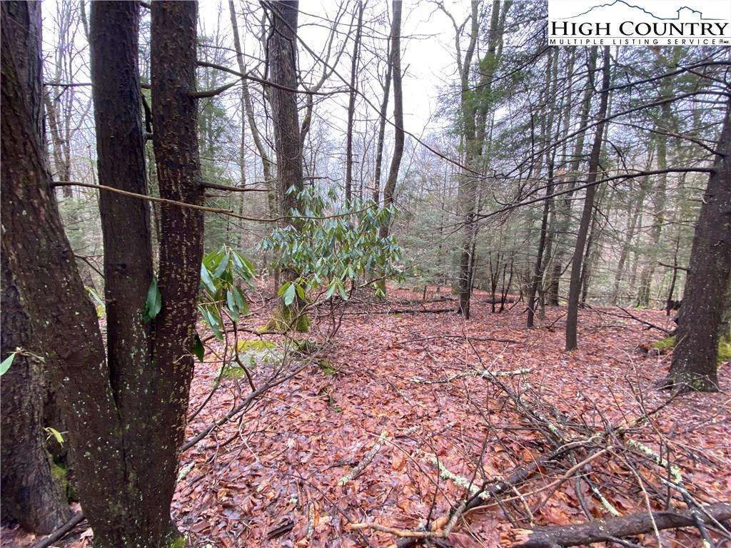 Image number 8 for the current listing