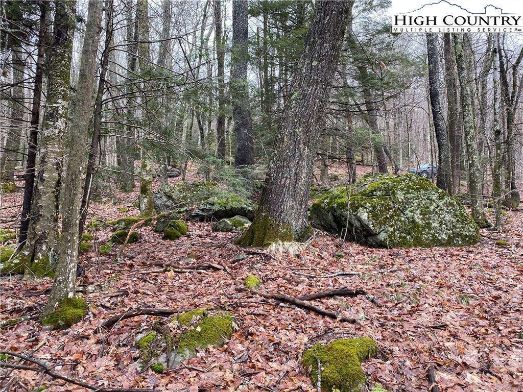 Image number 9 for the current listing
