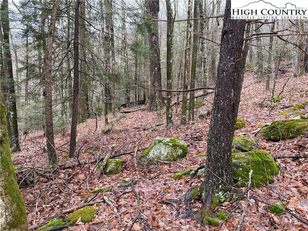 Image number 2 for the current listing