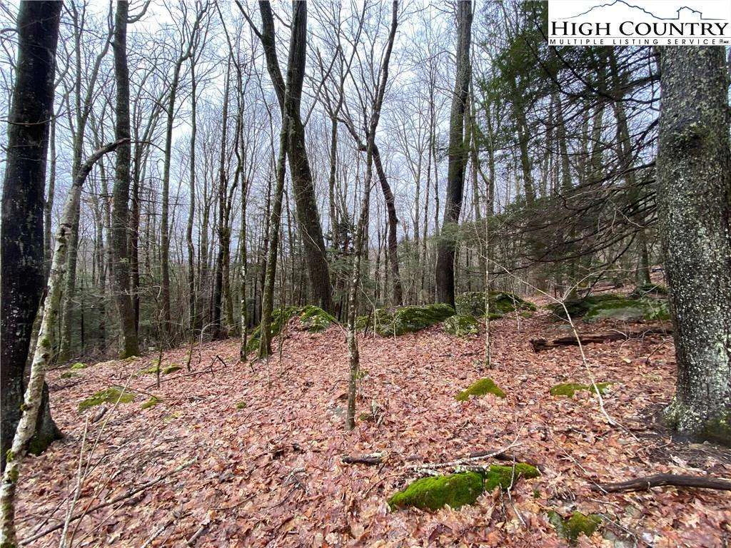 Image number 11 for the current listing