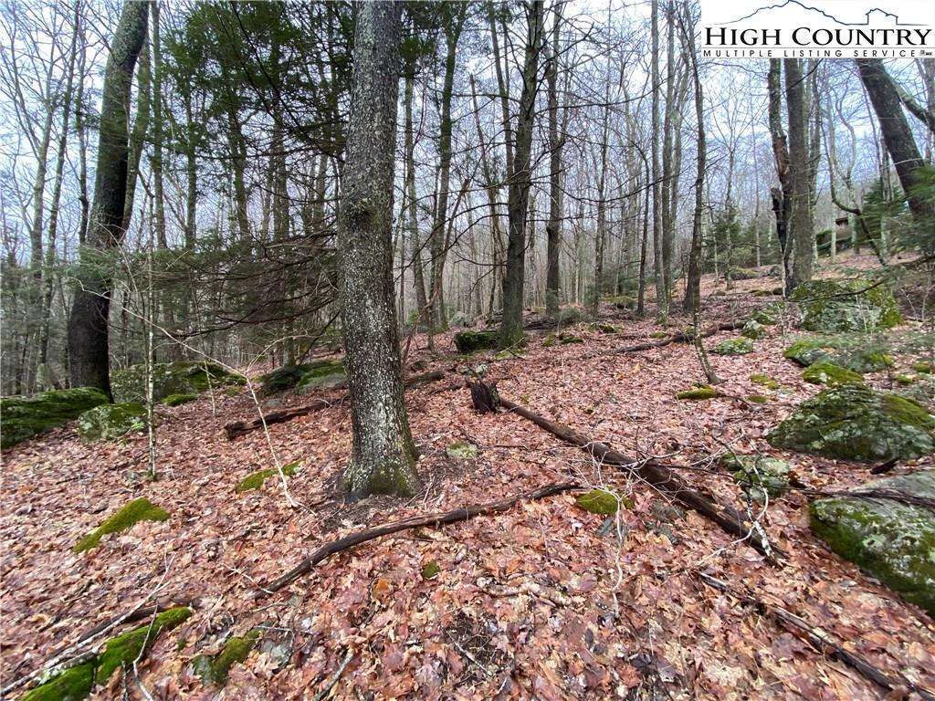 Image number 12 for the current listing