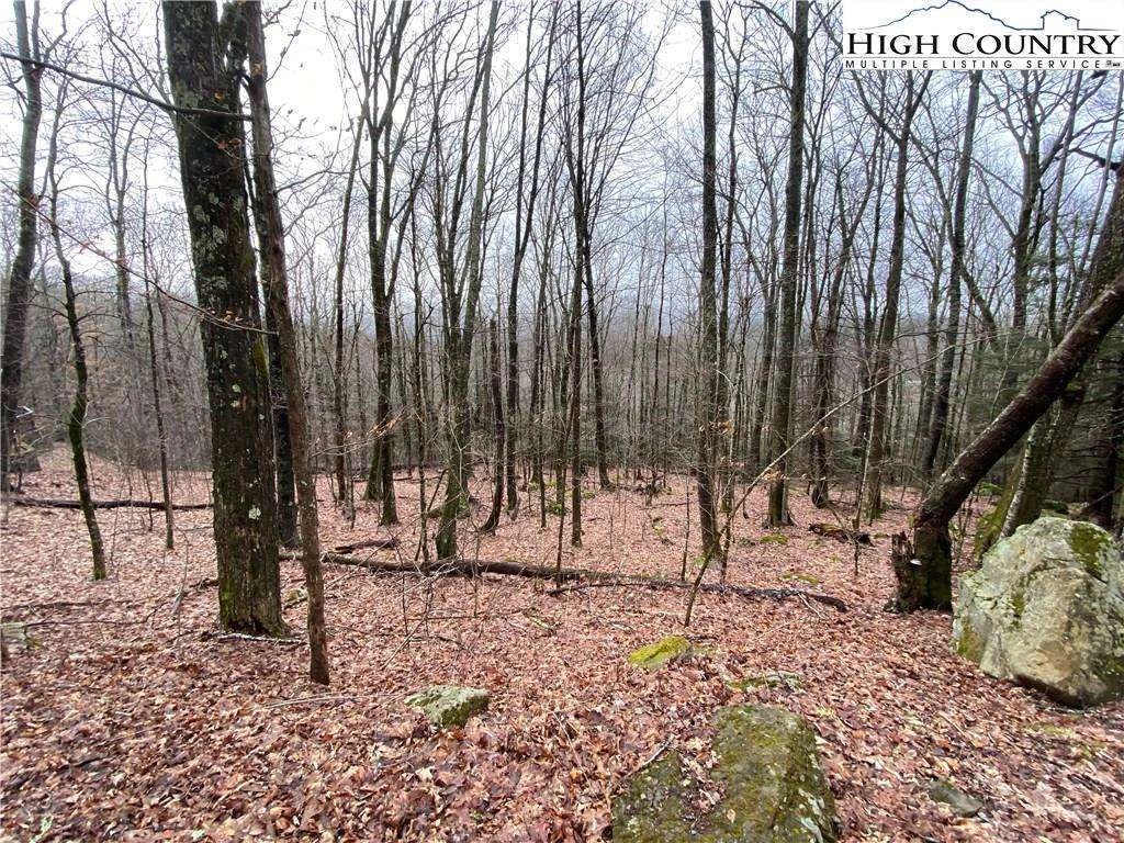 Image number 13 for the current listing