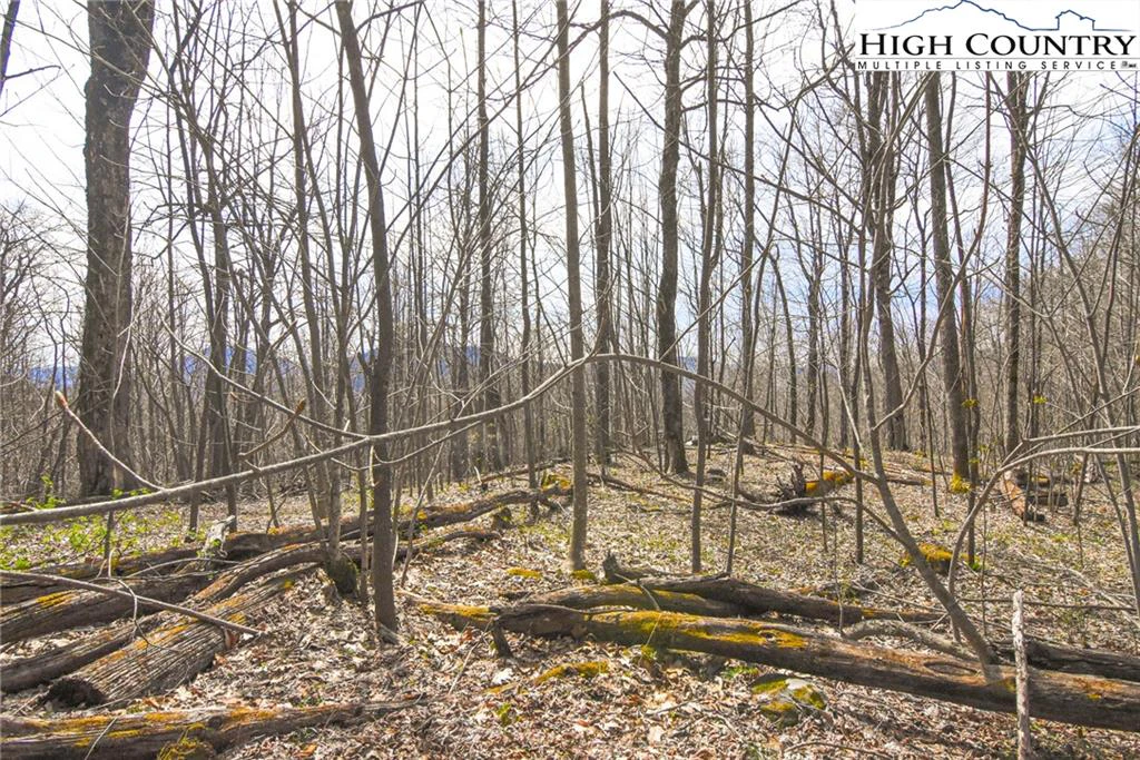 Image number 1 for the current listing