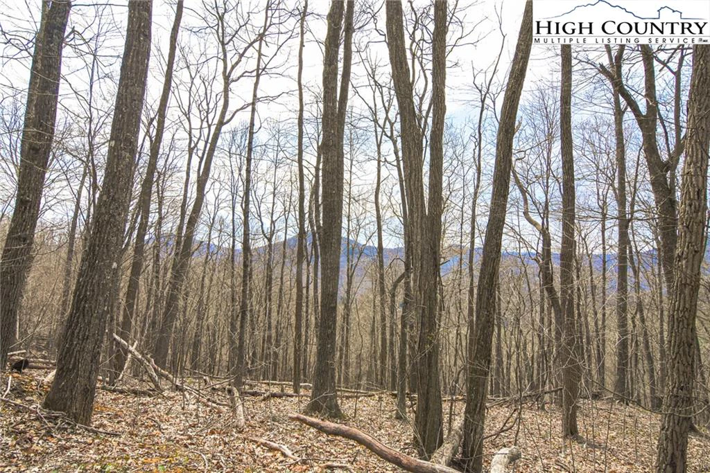 Image number 7 for the current listing