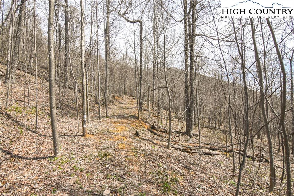 Image number 5 for the current listing