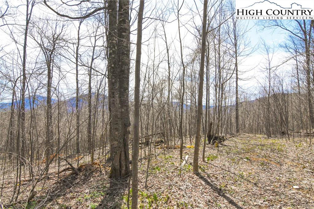 Image number 4 for the current listing