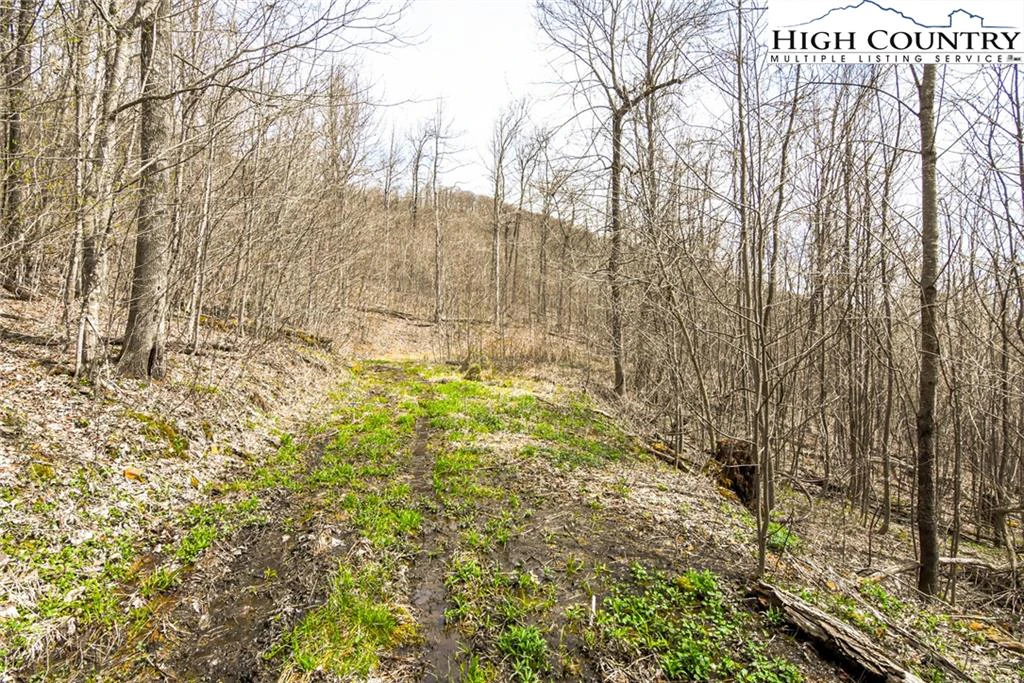 Image number 3 for the current listing