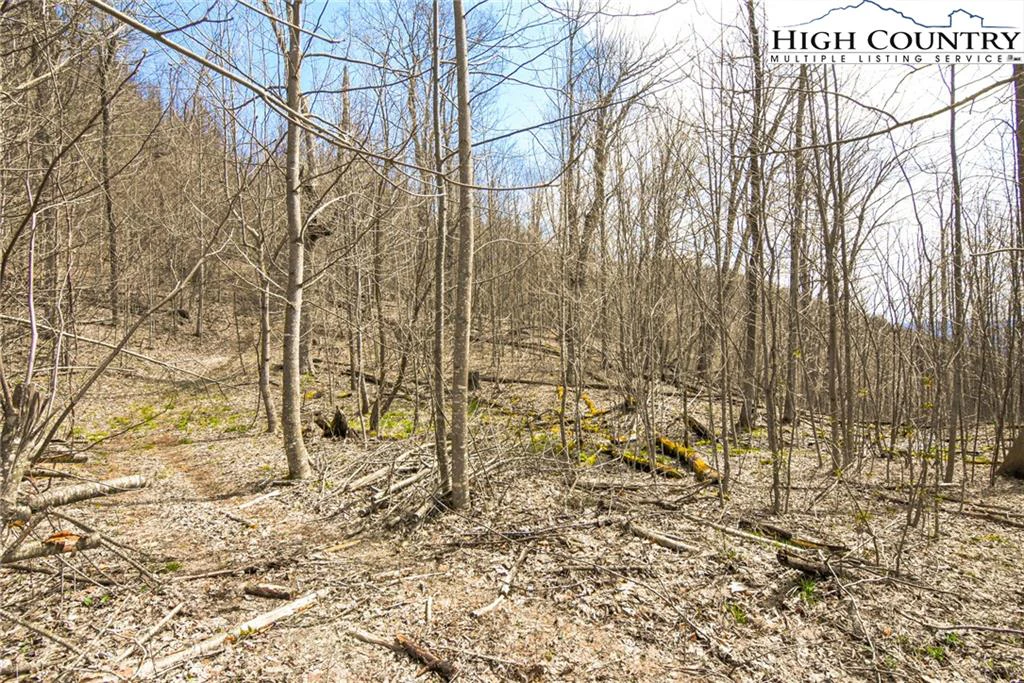 Image number 16 for the current listing