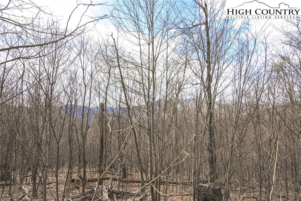 Image number 14 for the current listing