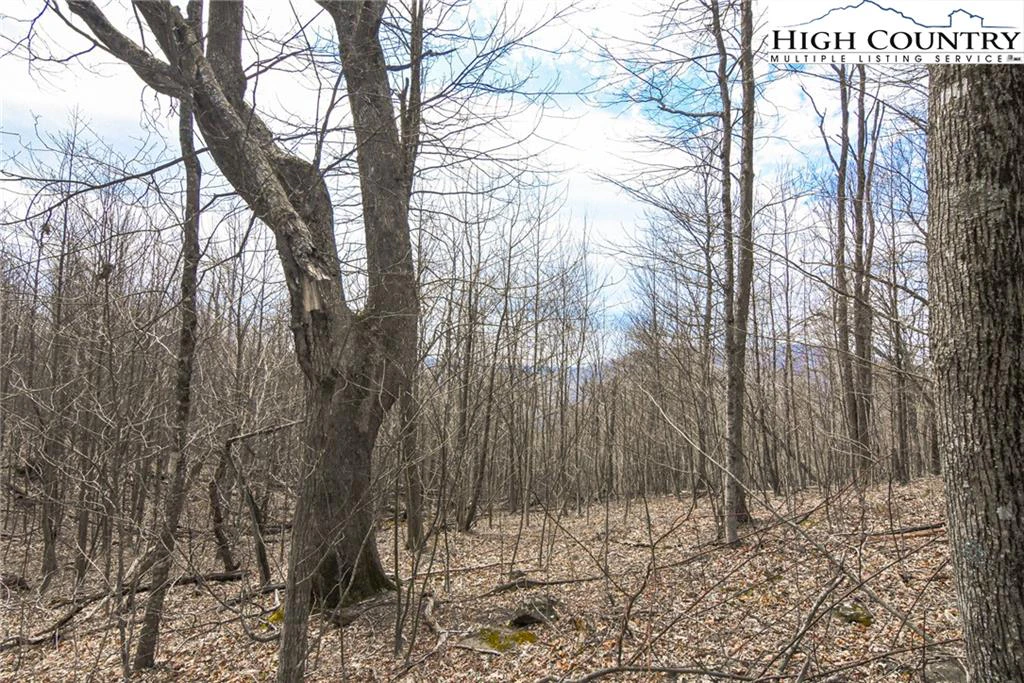 Image number 13 for the current listing
