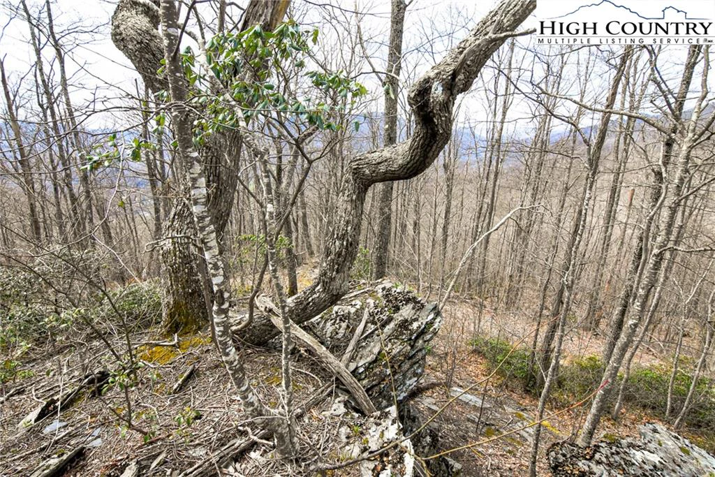 Image number 2 for the current listing