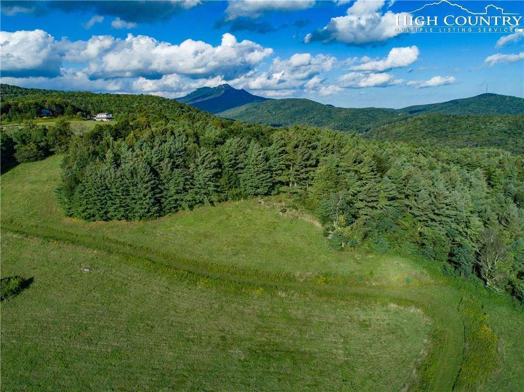 Image number 9 for the current listing