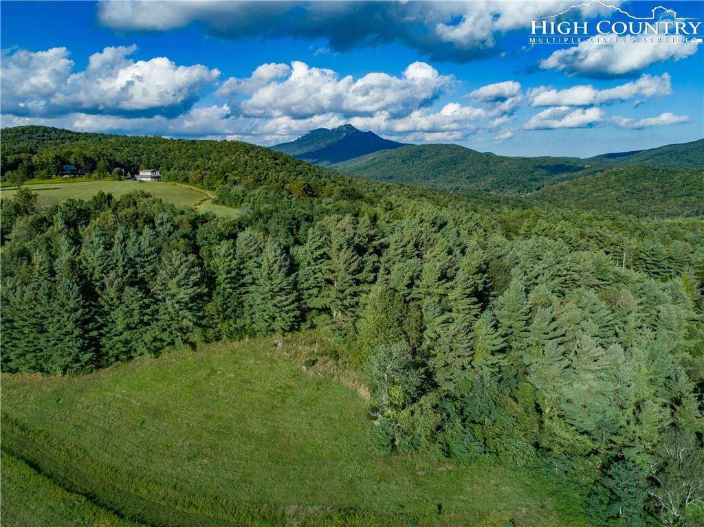 Image number 15 for the current listing