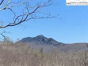 Image number 1 for the current listing