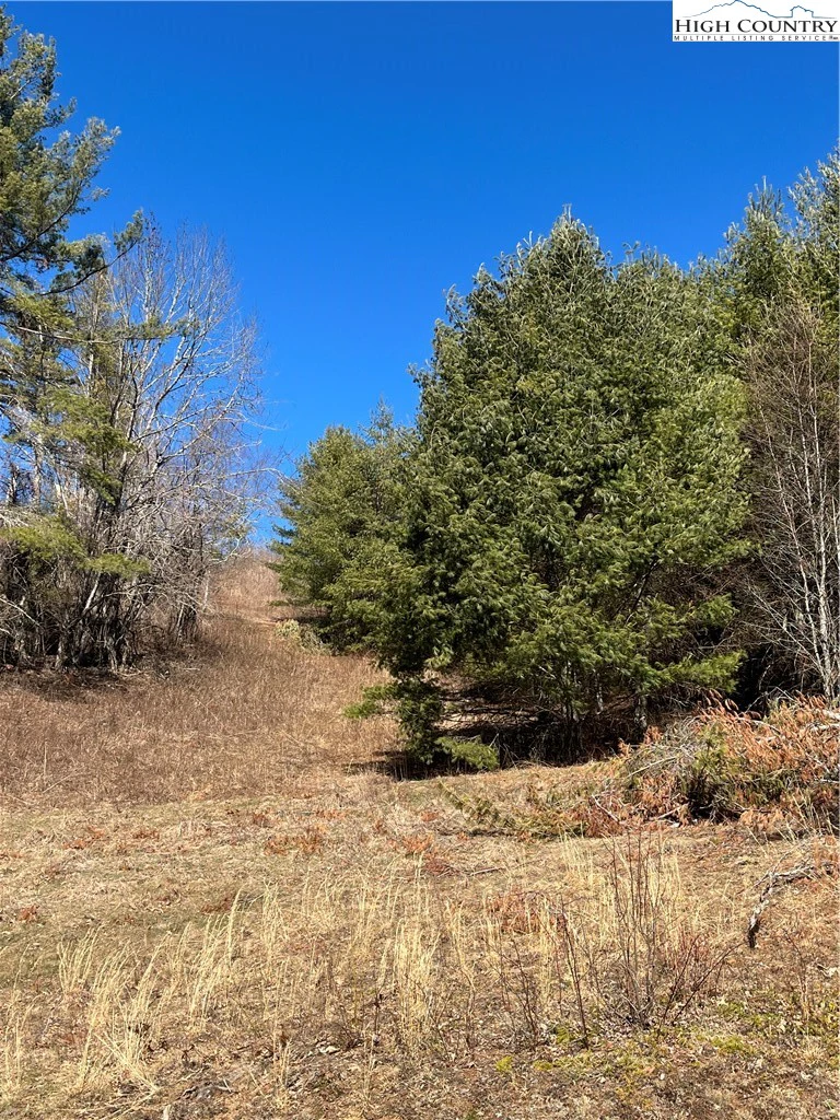 Image number 11 for the current listing