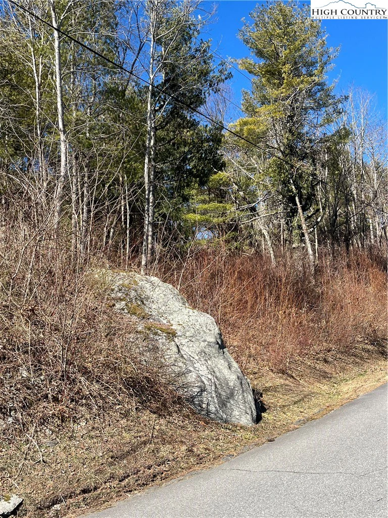 Image number 5 for the current listing