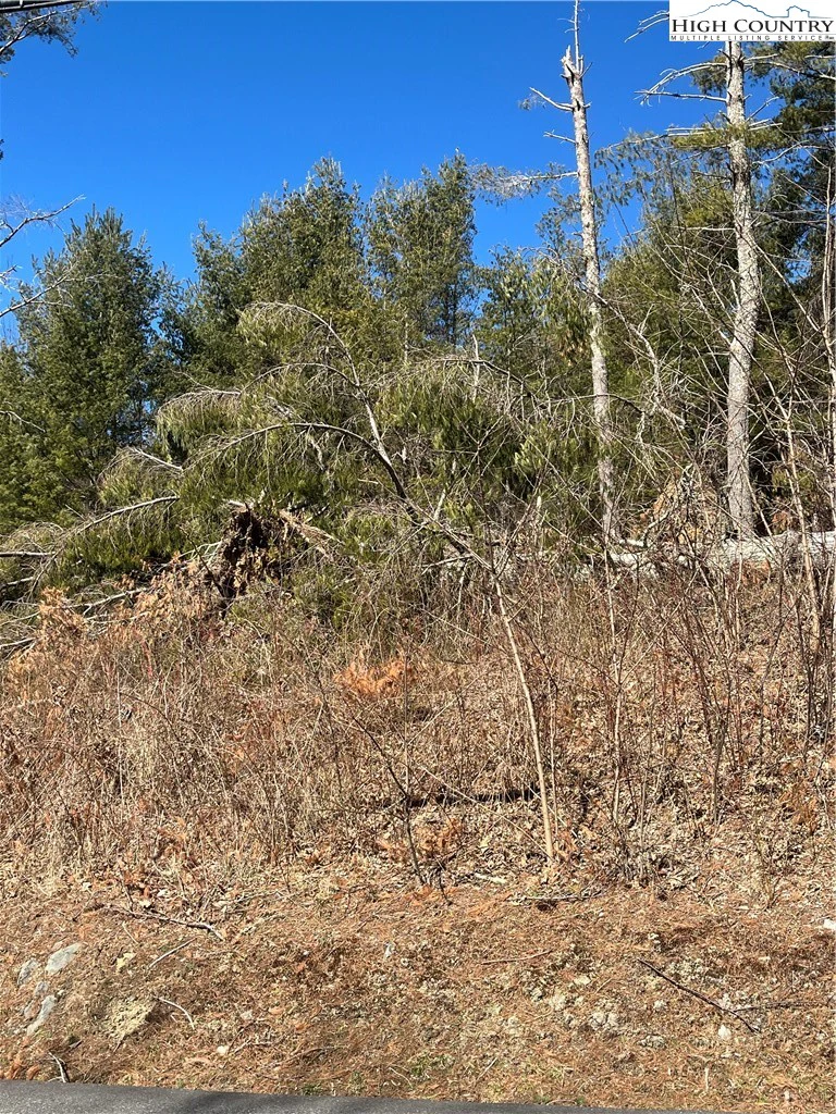 Image number 2 for the current listing