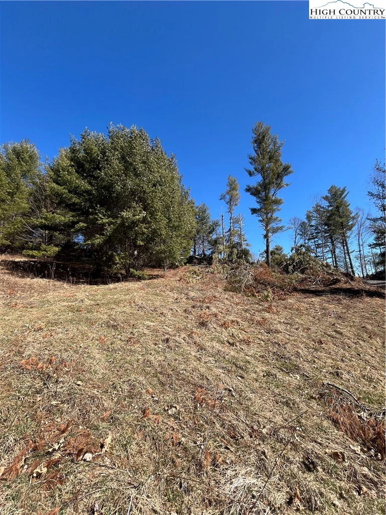 Image number 10 for the current listing