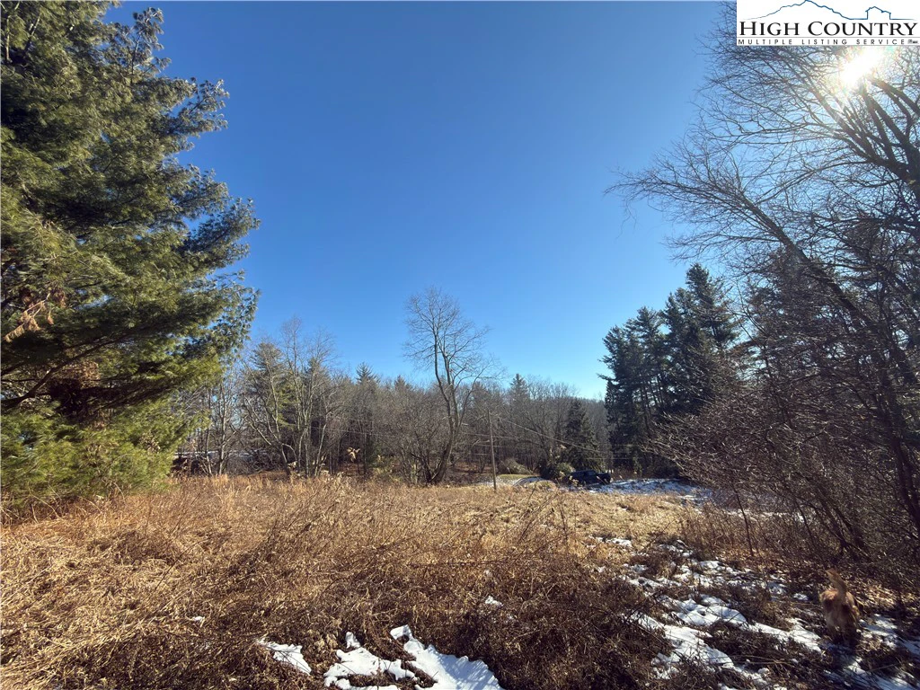 Image number 1 for the current listing