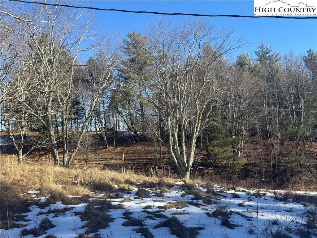 Image number 3 for the current listing