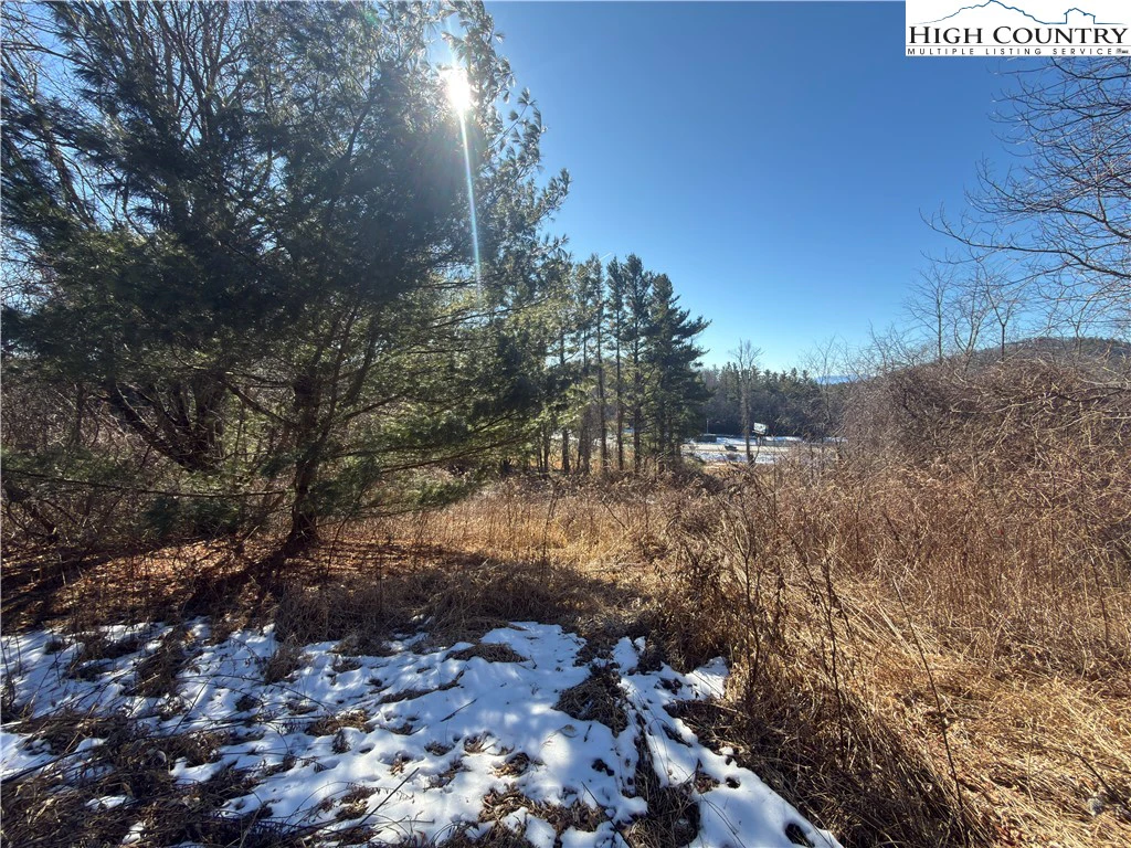 Image number 6 for the current listing