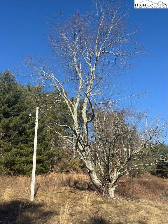 Image number 7 for the current listing