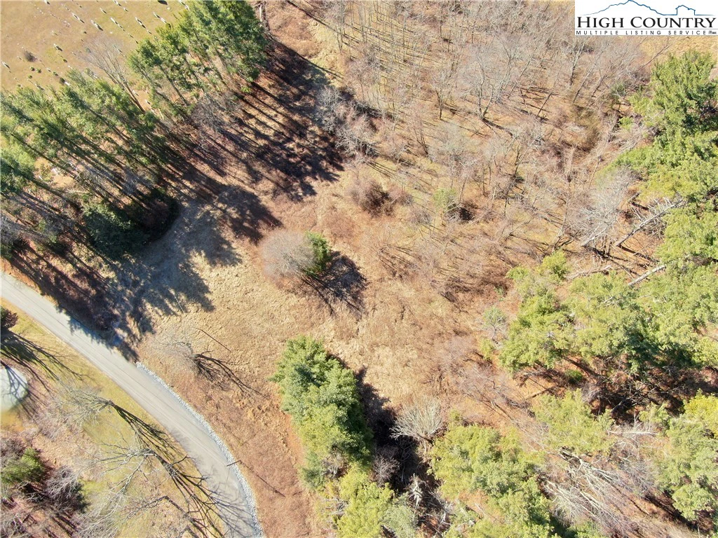 Image number 11 for the current listing