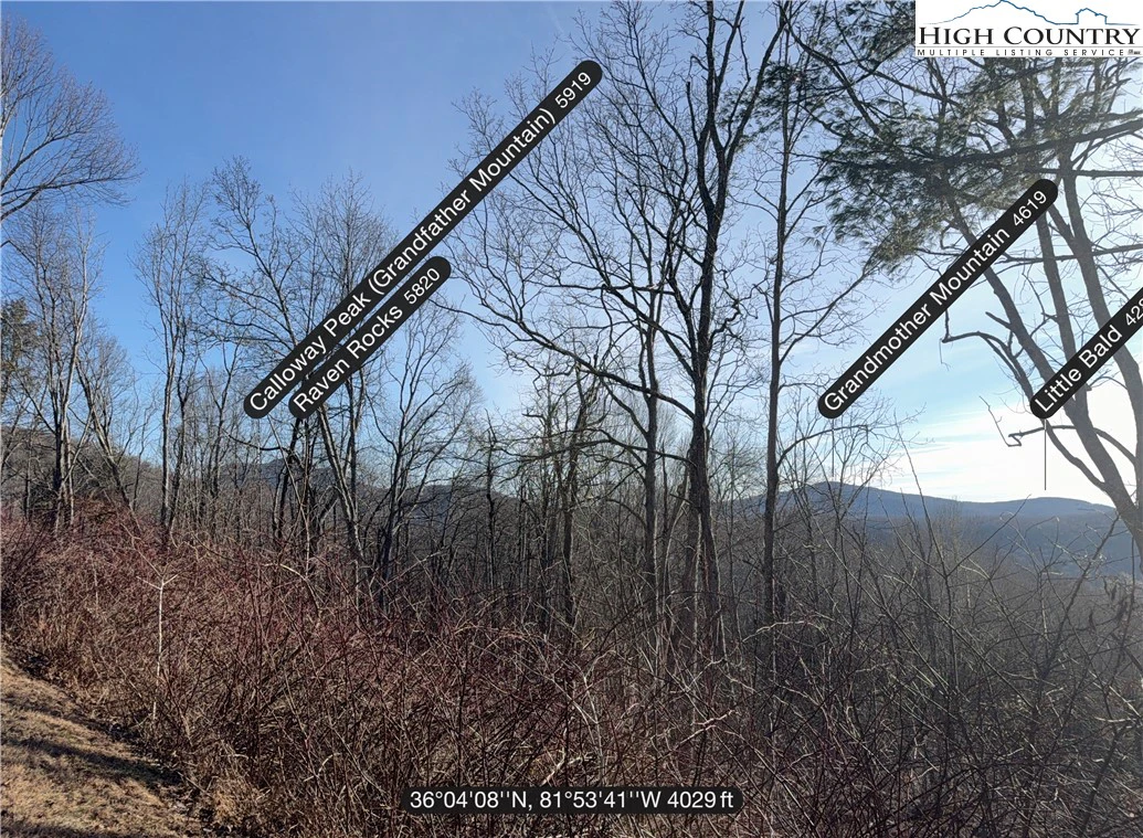 Image number 1 for the current listing