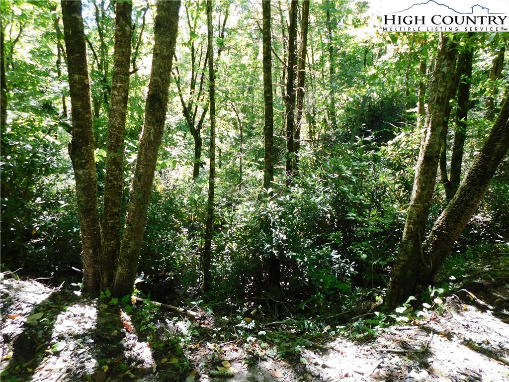 Image number 1 for the current listing