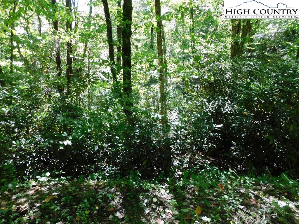 Image number 3 for the current listing