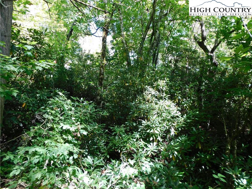 Image number 5 for the current listing
