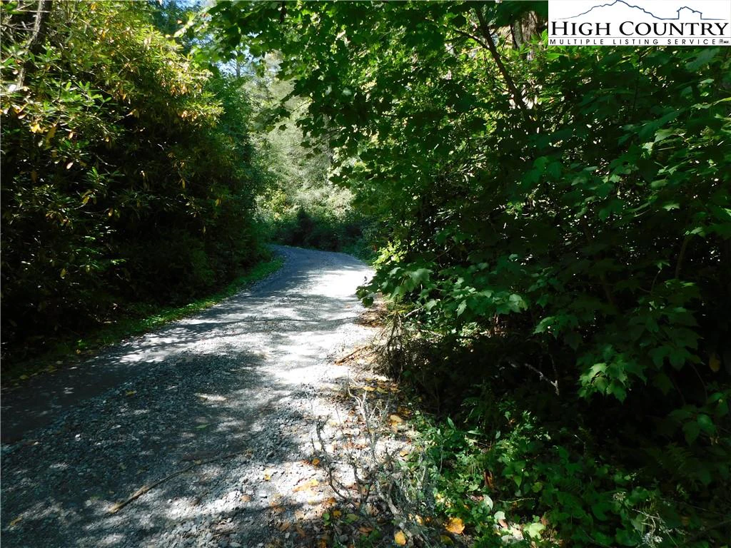 Image number 6 for the current listing