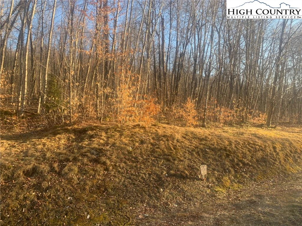 Image number 11 for the current listing