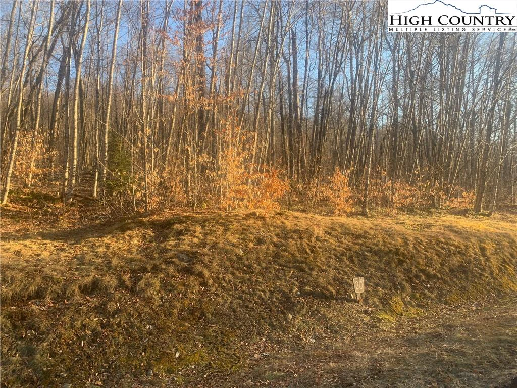 Image number 12 for the current listing