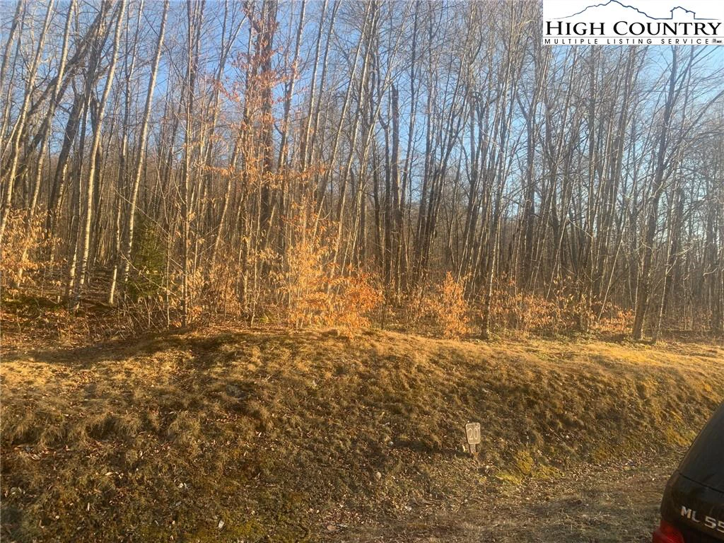 Image number 13 for the current listing