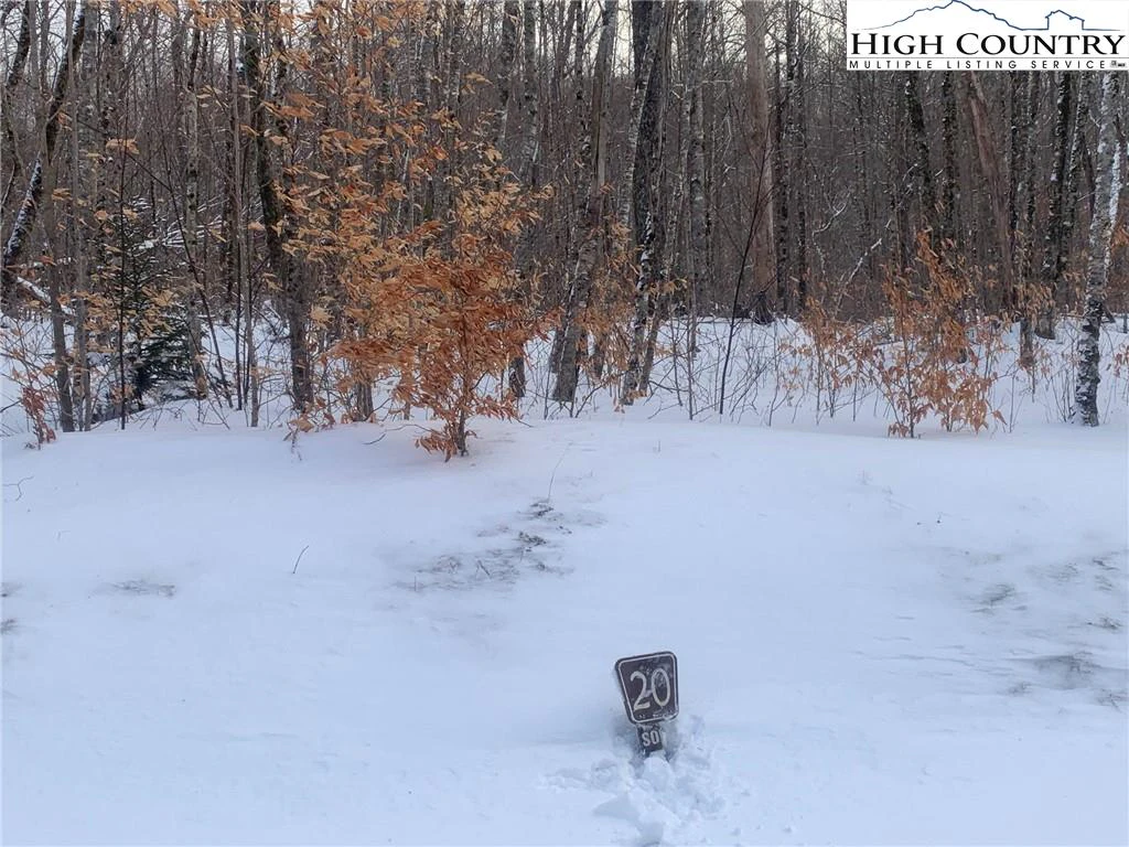 Image number 3 for the current listing