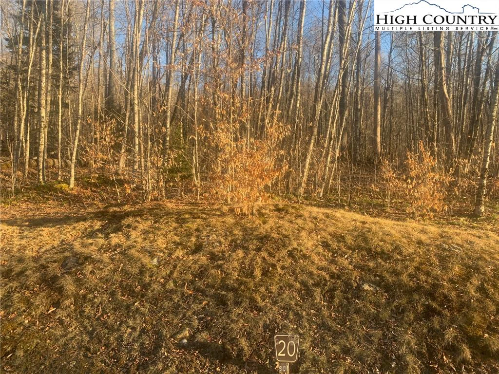 Image number 8 for the current listing