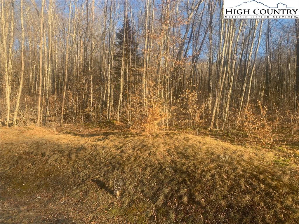 Image number 9 for the current listing