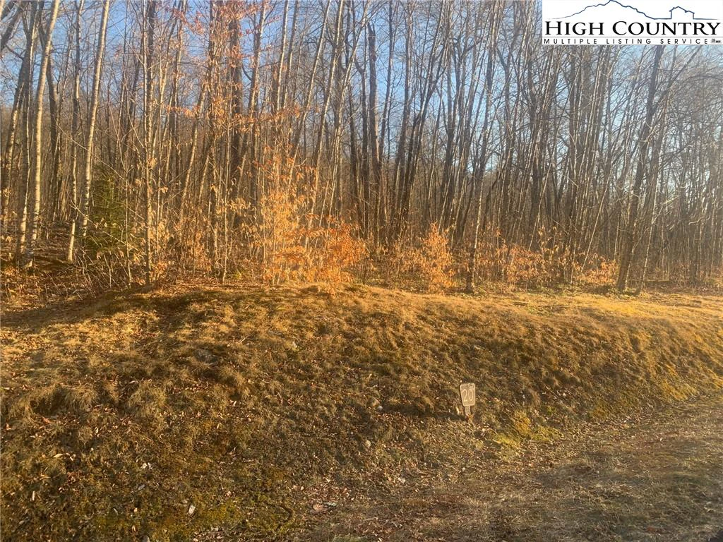 Image number 10 for the current listing