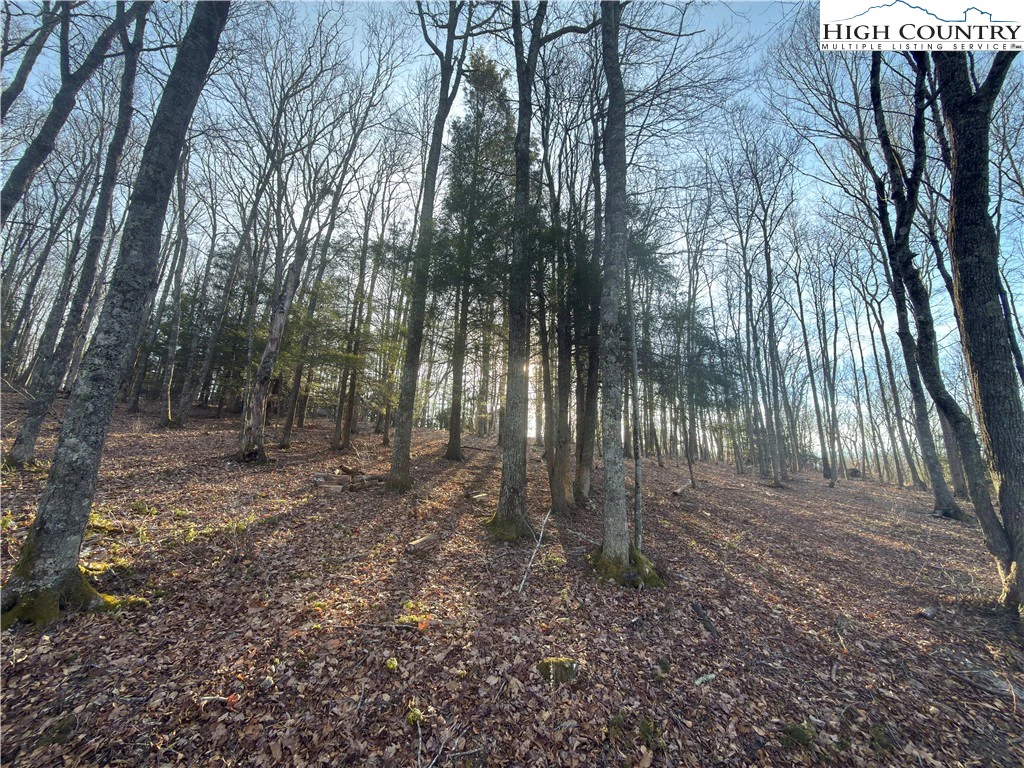 Image number 1 for the current listing