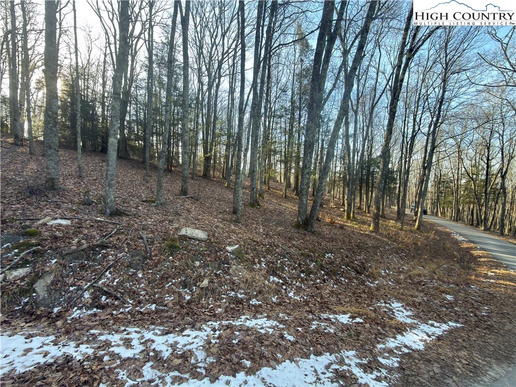 Image number 3 for the current listing