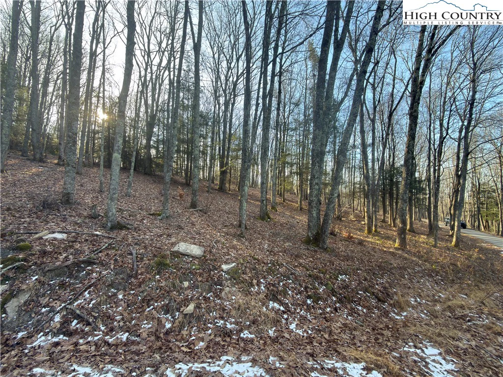Image number 4 for the current listing