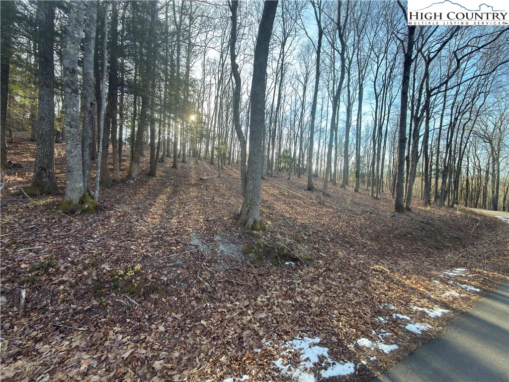 Image number 5 for the current listing