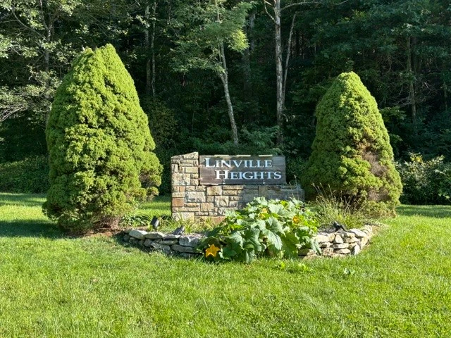 Image number 1 for the current listing
